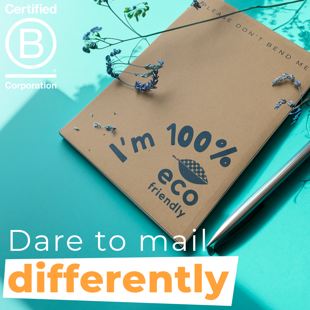 Eco Friendly, FSC Certified Board Backed Envelopes