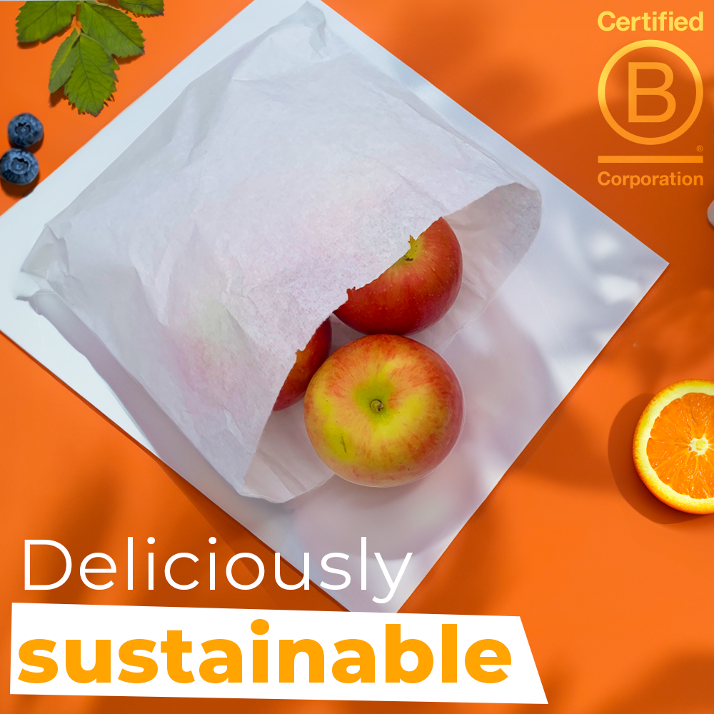 Eco Friendly, recyclable Greaseproof Paper Food Bags