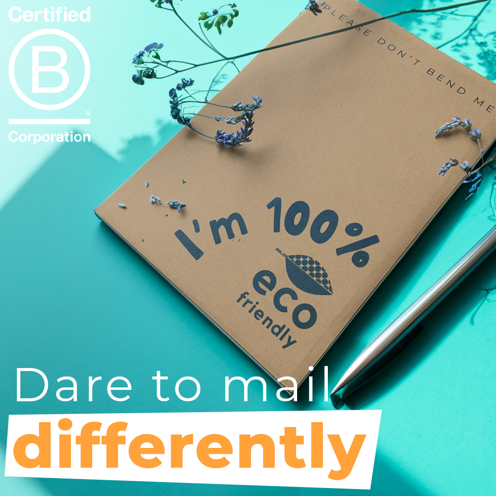 FSC Certified Board Back Envelopes